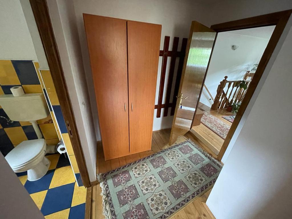 Pensiunea Gentiana Vatra Dornei Zewnętrze zdjęcie